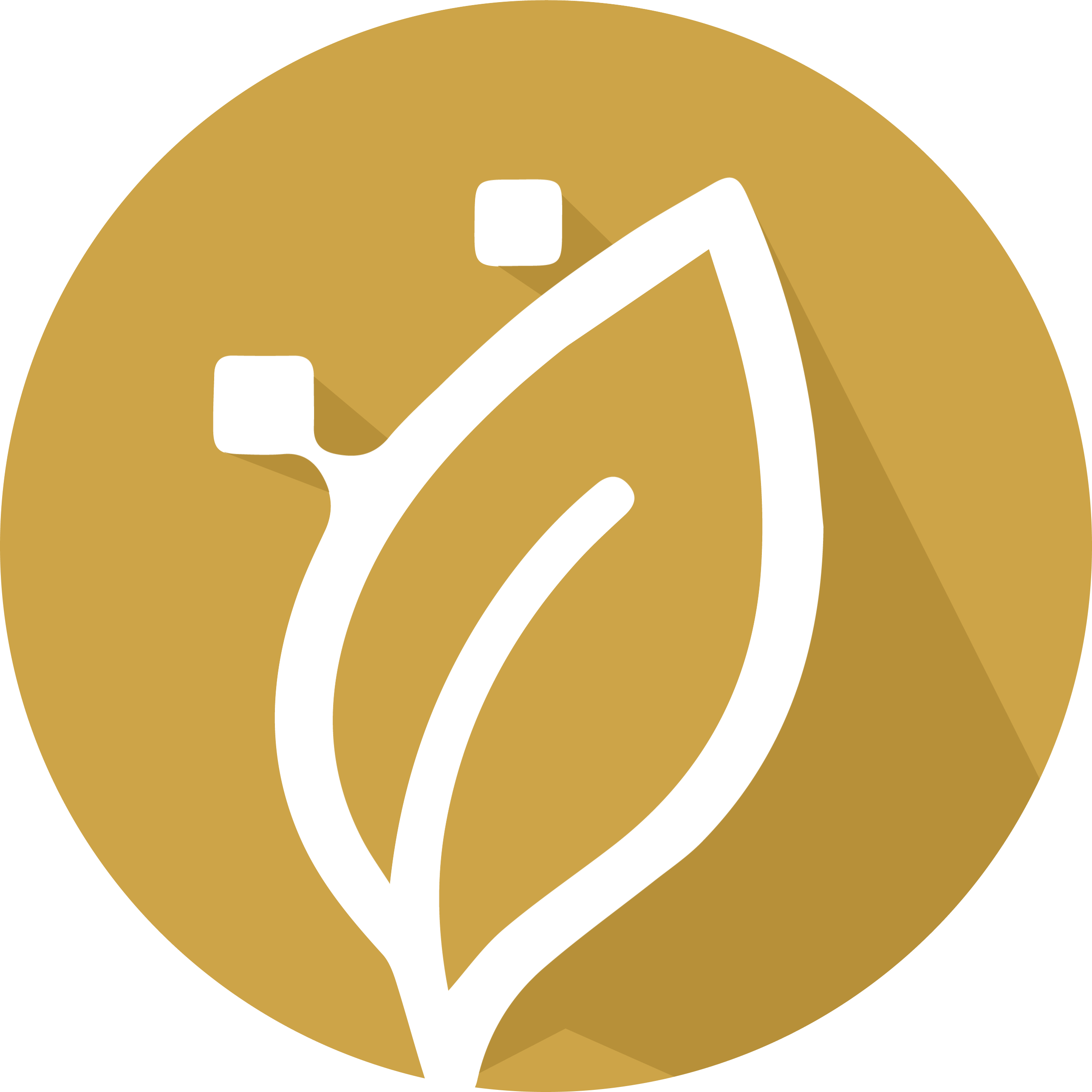 CliniPlus